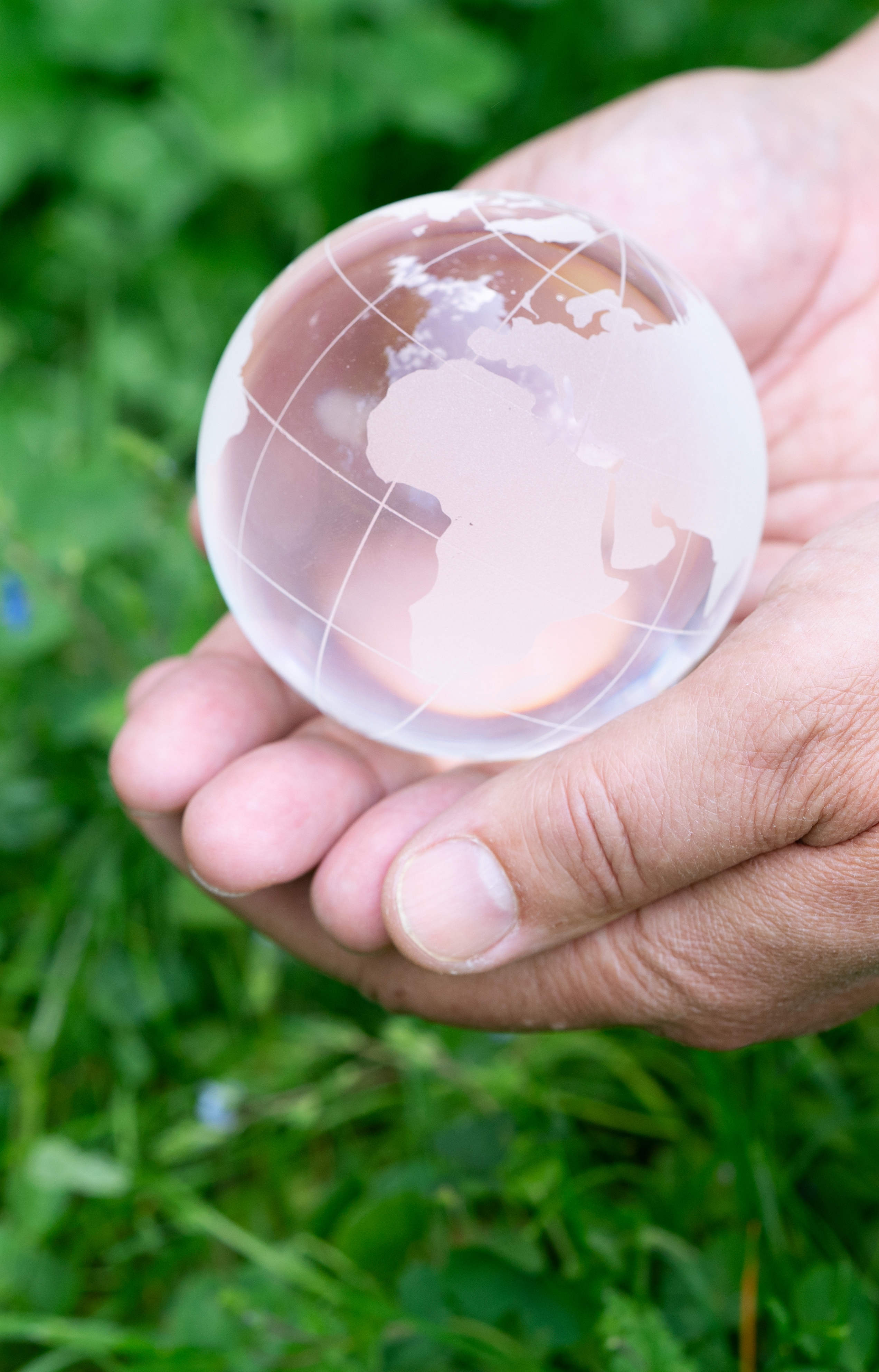 earth protection and sustainable ecology development earth protection and sustainable ecology development concept - hands holding planet earth with sprout, africa and EU Europe side